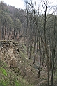 czatkowice 005